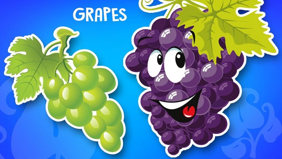 quả nho trong tiếng anh là gì?